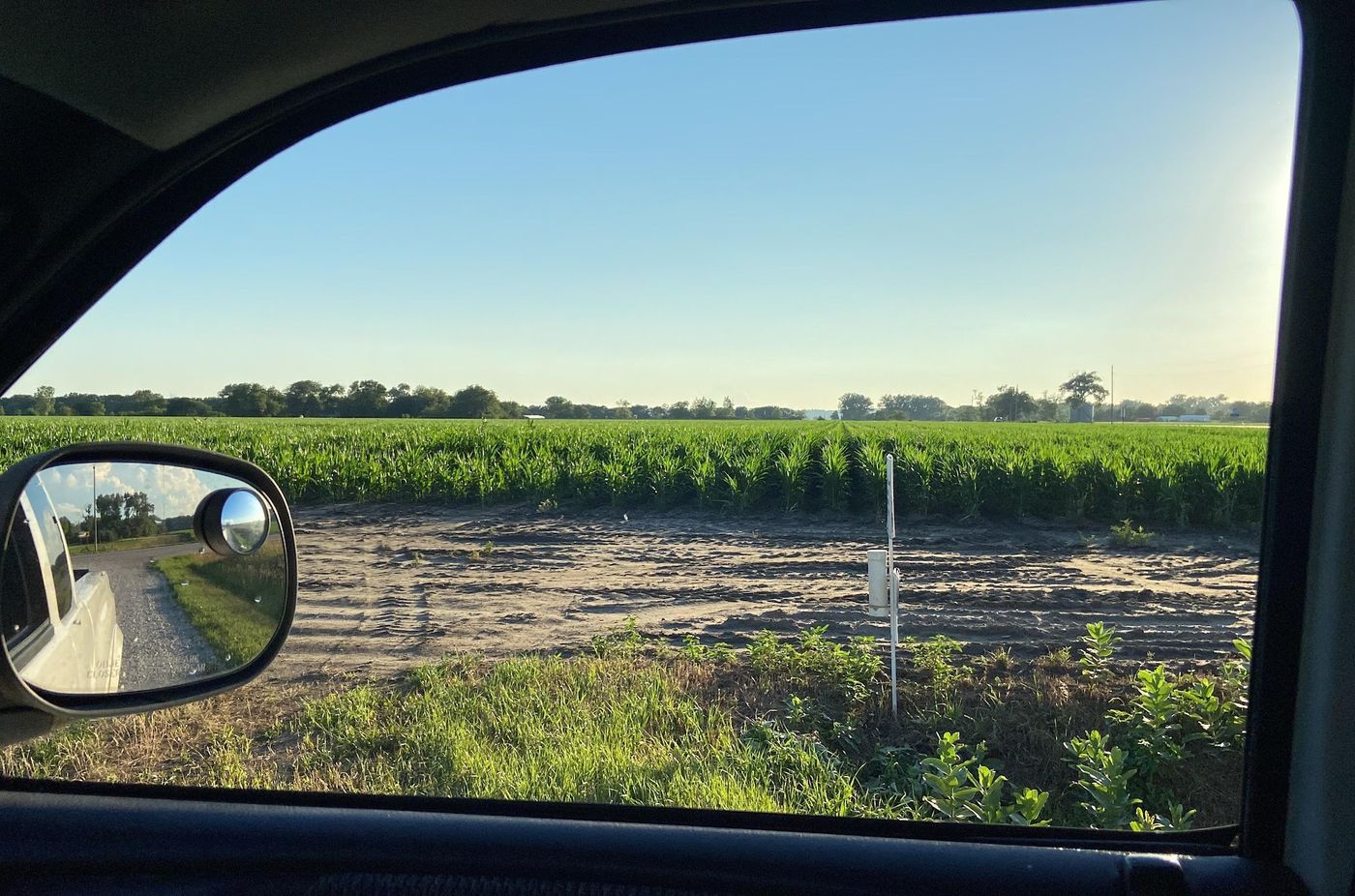 A seed corn field seen past a truck mirror on a field road