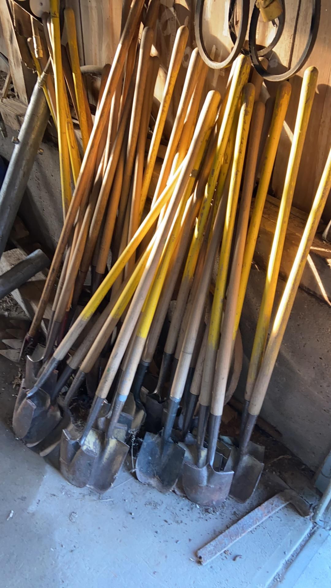 Rows of long-handled field tools racked in the barn